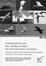 See und Wasservögel