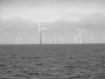 Abb. 1: Offshore-Windpark Horns Rev I, Dänemark.