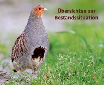 Die Publikation Vgel in Deutschland bietet umfangreiche bersichten zu Bestnden und Trends der Brut- und Rastvgel Deutschlands