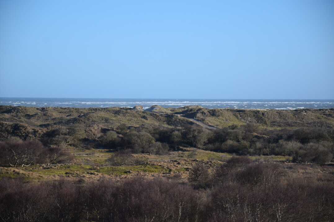 Niedersachsen - hier die Insel Baltrum - hat eine große Verantwortung für den Schutz von Natur, Landschaften, Arten und Gewässern.