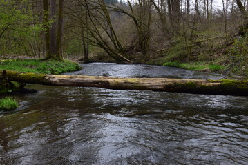 Naturnahes Fliegewsser