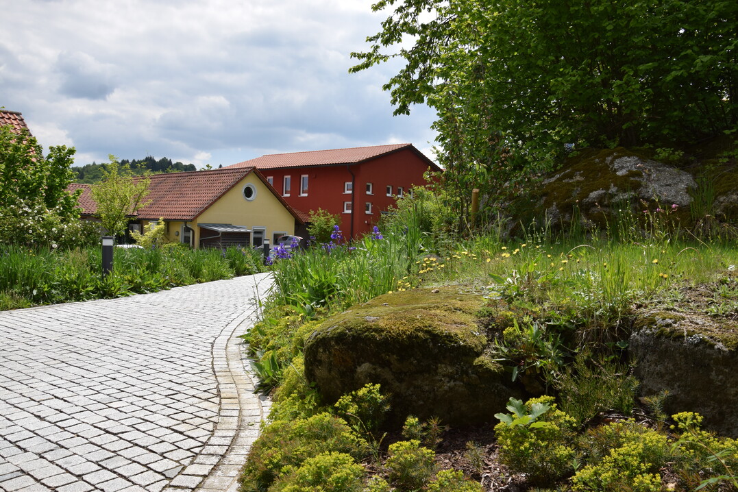 Grere Felsen, die im Zuge der Bauttigkeit zutage gefrdert werden, knnen auch in die Gestaltung integriert werden und wertvolle Biotope darstellen.