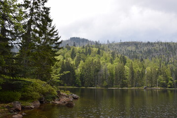 Rachelsee im Nationalpark Bayerischer Wald