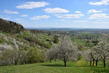 Der Landkreis Bblingen gibt sich eine Biodiversittsstrategie.