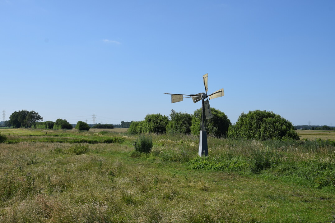 Windwasserpumpen können die Landschaft zum Wasserspeicher machen: Im Winter helfen sie dabei, Niederungen zu überfluten.