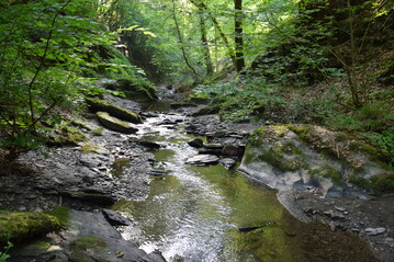 Naturnahe Bche sind auch in Hessen selten.