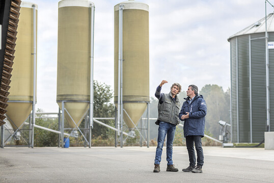 Kommt bald das Insekten-Futter für Geflügel? Das Unternehmen ForFarmers testet in den Niederlanden Insekten-Mischfutter in Geflügelbetrieben.