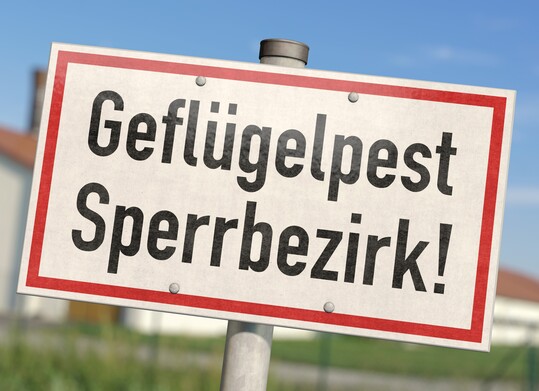 Auf der Insel Rügen kam es erneut zu einem Ausbruch der Geflügelpest.
