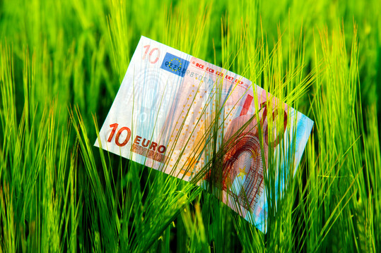 Umfangreiche Beihilfenpakete sollen  den Tierbestandsabbau in der niederländischer Landwirtschaft sozial abfedern.