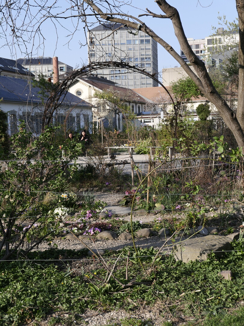 Labyrinthplatz im
Zeughausareal in Zrich:
Der lauschige Garten,
ein ffentlicher Ort der
Begegnung und eine
Oase der Biodiversitt,
ist fr alle ganzjhrig
frei zugnglich. Er wurde
von Frauen initiiert
und gestaltet.
