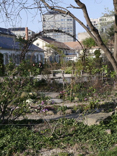 Labyrinthplatz im
Zeughausareal in Zrich:
Der lauschige Garten,
ein ffentlicher Ort der
Begegnung und eine
Oase der Biodiversitt,
ist fr alle ganzjhrig
frei zugnglich. Er wurde
von Frauen initiiert
und gestaltet.