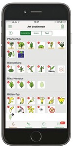 Abb.  1: Ein Teil des Multikriterienschlüssels der iFlora im Einsatz. Ausgewählt werden können unterschiedlichste Kriterien. Das ermöglicht die Anpassung des Bestimmungsweges an das tatsächlich Vorhandene. © www.i-flora.com