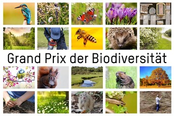 Ausgezeichnet wurden Projekte, die sich fr den Schutz von bedrohten Pflanzen- und Tierarten einsetzen. 