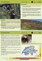 Abb. 2: Beispiel einer Leitartenkarte (Vor- und Rückseite).