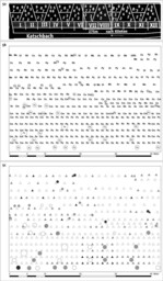 Abb. 5: Ausschnitt eines Waldrandes in der Altaue der Kliekener Aue.<br /><br />
Abb. 5a: Pflanzplan: Die Segmente (I–XII) sind 20 m lang. Innerhalb jedes Segmentes sollten die ersten 10 m artenrein und in den nachfolgenden 10 m eine Mischung mit der Strauchart des Nachbarsegmentes im Verhältnis 50:50 gepflanzt werden. I/V/IX: Hunds-Rose (Rosa canina); II/VI/X: Gewöhnliches Pfaffenhütchen (Euonymus europaea); III/VII/XI: Gewöhnliche Schlehe (Prunus spinosa); IV/VIII/XII: Eingriffliger Weißdorn (Crataegus monogyna); 1: Gewöhnlicher Schneeball (Viburnum opulus); 2: Zweigriffliger Weißdorn (Crataegus laevigata); 3: Haselnuss (Corylus avellana); 4: Blutroter Hartriegel (Cornus sanguinea); 5: Gewöhnliche Traubenkirsche (Prunus padus); 6: Purgier-Kreuzdorn (Rhamnus cathartica); 7: Feld-Ulme (Ulmus minor); 8: Wildobst (Pyrus pyraster/Malus sylvestris); 9: Feld-Ahorn (Acer campestre).<br /><br />
Abb. 5b: Vorkommen der Gehölzarten (Pflanzung und Sukzession) in 2007 in den Segmenten VII und VIII. Die Anordnung der Gehölze wurde bei der Umsetzung des Pflanzplanes (Abb. 5a) geringfügig verändert. Gepflanzte Arten: Ac: Acer campestre, Ca: Corylus avellana, Cm: Crataegus monogyna, Cs: Cornus sanguinea, Ee: Euonymus europaeus, Fe: Fraxinus excelsior, Ms: Malus sylvestris, Pp: Prunus padus, Ps: Prunus spinosa, Py: Pyrus pyraster, Qr: Quercus robur, Rc: Rosa canina, Rh: Rhamnus cathartica, Ss: Salix spec., Ul: Ulmus laevis, Vo: Viburnum opulus. <br />Sukzession:<br />
π: 1 Individuum <br />
π: 2–10 Individuen <br />
π: >10 Individuen<br /><br />
Abb. 5c: Vitalitätsklassen der Gehölze 2007 in den Segmenten VII und VIII, unterteilt in Pflanzung (Dreiecke) und Sukzession (Kreise): <br />
Anzahl an spontan etablierten Individuen:<br />
π: 1 Individuum<br />
π: 2–10 Individuen<br />
π: >10 Individuen<br />
Vitalitätsklassen:π⁄: 1 (vital)<br />
ø¨: 2 (schwach geschädigt)<br />
ø¨: 3 (stark geschädigt)