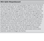 Windenergie: Rückzug des Vogelschutzes