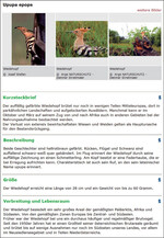 Abb. 3: In den jeweiligen Artsteckbriefen zu den meldbaren Arten finden sich wertvolle Bestimmungshilfen von Experten. Im Bild ein beispielhafter Ausschnitt.   © Naturschutzbund