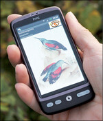 Abb. 4: Mit einer Smartphone-Applikation für www.naturbeobachtung.at sollen weitere User-Gruppen zum Melden von Naturbeobachtungen motiviert und damit noch mehr Funddaten gesammelt werden.   © Norbert Hirneisen