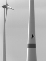 Abb. 1: Rotmilan (Milvus milvus) zwischen Windrädern – ein Hauptkonflikt zwischen Windkraft und Naturschutz, denn eine fehlende Meidung belegt nicht die Ungefährlichkeit von Windkraftanlagen für den Arterhalt, für den Deutschland globale Verantwortung besitzt.Foto: Maik Sommerhage