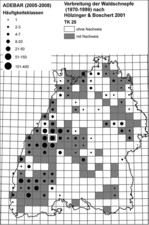 Abb.  6: Verbreitung der Waldschnepfe (Scolopax rusticola) in Baden-Württemberg im Blattschnitt der Topographischen Karte 1 : 25000 (TK25), basierend auf der Darstellung bei Hölzinger & Boschert (2001) sowie der ADEBAR-Kartierung (2005-2008), deren Ergebnisse freundlicherweise durch M. Kramer zur Verfügung gestellt wurden. Das Untersuchungsgebiet liegt im mit weißem Umriss hervorgehobenen Kartenblatt. Kartengrundlage: www.lgl-bw.de.