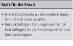 Windkraft über Wald – kritisch für die Waldschnepfenbalz?