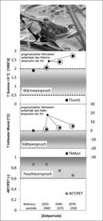 Abb. 4: Prognostizierte Reaktion der Populationen des Moorfrosches (Rana arvalis) in beiden FFH-Gebieten auf den Klimawandel (grau hinterlegt: Klimarahmen der Art).