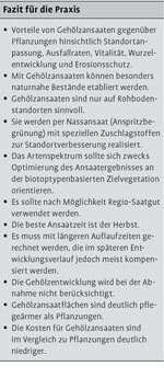 Gehölzansaaten als naturnahe und wirtschaftliche Alternative zur Pflanzung