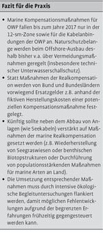 Marine Kompensation als Voraussetzung für eine umweltverträgliche Energiewende im Meer