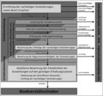 Abb. 2: Grundschema der Bewertung mit Abschichtung der Prüf- und Bewertungsschritte (zu den damit verbundenen Anforderungen siehe Ausführungen im Text).