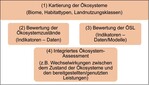 Abb. 2: MAES-Bewertungsrahmen (vereinfachtes Schema nach Maes et al. 2014, S. 22).MAES evaluation framework (simplified scheme according to Maes et al. 2014, p. 22).