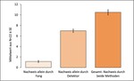 Abb. 5: Artnachweise mit Hilfe der Detektor- und der Fangmethode, Mittelwerte aus N = 22±SE.Species identified using the detectors and catching, medium values from N = 22 ± SE.