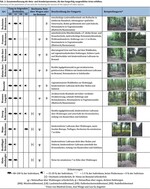 Fledermausfang im Rahmen der Eingriffsplanung von Windkraftanlagen in Wäldern