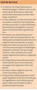 Fledermausfang im Rahmen der Eingriffsplanung von Windkraftanlagen in Wäldern