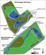 Abb. 3: Struktur neu angelegter Gewässer. Durch die Erweiterung der Oberlache bzw. die Neuanlage und Reaktivierung einer Teichanlage entstanden 4800m² neue Wasserfläche als Nahrungsraum für Wasserfledermäuse.Structure of newly constructed water bodies. By extending the “Oberlache” and reactivating existing ponds 4,800 m2 of new water surface could be created as foraging habitat for Daubenton’s bats.