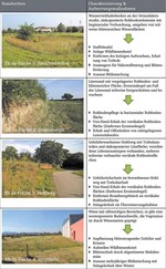 Tab. 4: Maßnahmenkatalog für Bornheim (eigene Darstellung).Catalogue of measures for the town of Bornheim (own illustration).