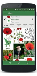 Abb.  1: Etwas für’s Auge und für die Bestimmung: die vielen visuellen Porträts einer Art in der iFlora. ©  www.i-flora.com