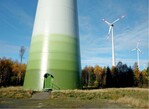 Abb. 3: Farblich abgesetzte untere Turmsegmente an WEA zur besseren Sichtbarkeit auffliegender Wiesenbrüter.<br />
Tower segments of wind power plants with contrasting colours to improve perceptibility for meadow breeders flying up.