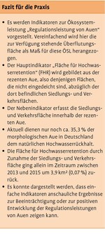 Indikatoren zur Regulationsleistung von Auen