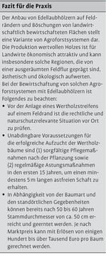 Agroforst ganz am Rande