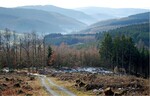 Abb. 2: Das Rothaargebirge ist geprägt durch seinen Waldreichtum, wobei Fichtenforste überwiegen. Nach Windwurfereignissen (v.a. Kyrill in 2007) wurden diese großflächig aufgelichtet (eigene Aufnahme).<br/ >The abundance of forests is typical for the ‘Rothaargebirge‘, with a dominance of spruce forests. After wind throws (particularly ‘Kyrill’ in 2007) large areas in these forests were opened up.