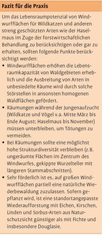 Wiederbesiedlung und Habitatpräferenzen der Europäischen Wildkatze im Rothaargebirge