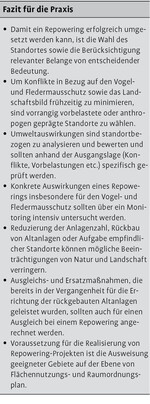 Repowering von Windenergieanlagen