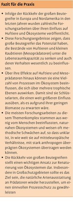 Welche Effekte haben große Beutegreifer auf Huftierpopulationen und Ökosysteme?