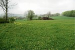Abb. 1: Nährstoffzufuhr verändert die Vegetation – Schlüsselblume (Bildmitte links) wird durch Löwenzahn verdrängt. <br/ >
Nutrient intake changes the vegetation – the Cowslips (in the middle of the picture left) have been replaced by Dandelions.