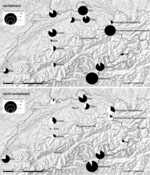Abb. 3: Die obere Karte stellt den Anteil revitalisierter Transekte mit (schwarz) und ohne (weiß) Neophytenvorkommen, die untere Karte den Anteil nicht revitalisierter Transekte mit (schwarz) und ohne (weiß) Neophytenvorkommen an den 16 untersuchten Flüssen dar. Flüsse, an welchen in einem der beiden Bereiche keine Neophyten vorkamen, sind mit einem grauen Punkt dargestellt. Die Größe der Kreise entspricht dem durchschnittlichen Neophyten-Deckungsgrad pro Fluss (Deckungswerte quadratwurzeltransformiert) (Hintergrundbild: swisstopo 2007).