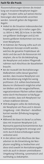 Profitieren invasive Neophyten von Flussrevitalisierungen?