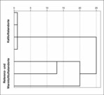 Abb. 7: Die Laufkäfergemeinschaften der Kaltluftaustritte zeigen gegenüber den Referenz- und Warmluftstandorten eine hohe Eigenständigkeit auf Basis der Dominanzidentität (Pearson-Korrelation, Average Linkage).