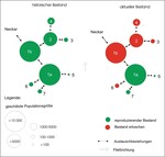 Abb. 4: Bestandsgrößen und Austauschbeziehungen (Spermiendrift und wandernder Wirtsfisch Elritze), historisch (links) und aktuell (rechts) in der Eschach. Die Ziffern stehen für ein Gewässer bzw. für eine lokale Population. Die Fließrichtung ist jeweils von der höheren zur kleineren Ziffer (z.B. 4 2 1).1a, 1b – Eschach (Stammpopulation, 1b ausgestorben), 2 – Fischbach (Nebenpopulation, ausgestorben), 3 – Teufenbach (Nebenpopulation, ausgestorben), 4 – Badische Eschach (Nebenpopulation, ausgestorben), 5 – Bannmoosgraben (Latenzpopulation), 6 – Kimmichgraben (Nebenpopulation, ausgestorben), 7 – Seltenbach (Nebenpopulation).
Stock sizes and exchange conditions (drift of sperm and migration of the host fish common minnow), historically (on the left) and currently (on the right) in the Eschach River. Each number stands for a water body or for a local population. The flow direction points from the larger to the smaller number (e.g. 4 2 1).1a, 1b – Eschach (stock population, 1b extinct), 2 – Fischbach (side population, extinct), 3 – Teufenbach (side population, extinct), 4 – Badische Eschach (side population, extinct), 5 – Bannmoosgraben (latency population), 6 – Kimmichgraben (side population, extinct), 7 – Seltenbach (side population).