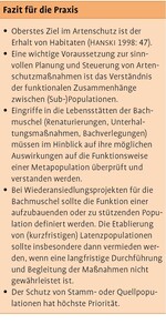 Die Bachmuschel (Unio crassus) überlebt – noch – in Metapopulationen