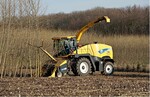 Abb. 2: Beerntung der Kurzumtriebsplantage im Waldlabor Köln.<br/ >
Harvesting the short rotation coppice.
<br/ ><br/ >
© Jasmin Matros (02/2014)